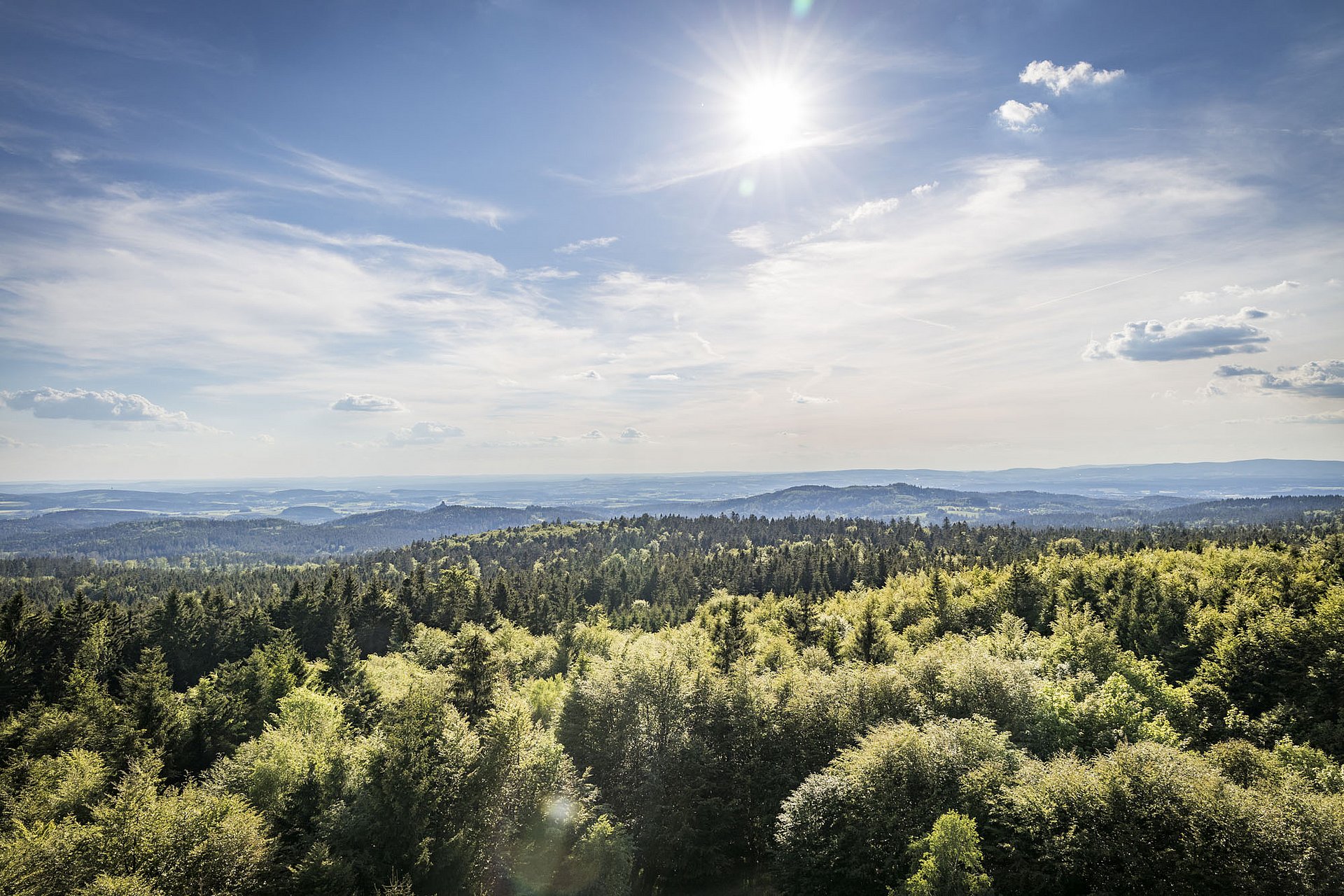Panorama über den Oberpfälzer Wald