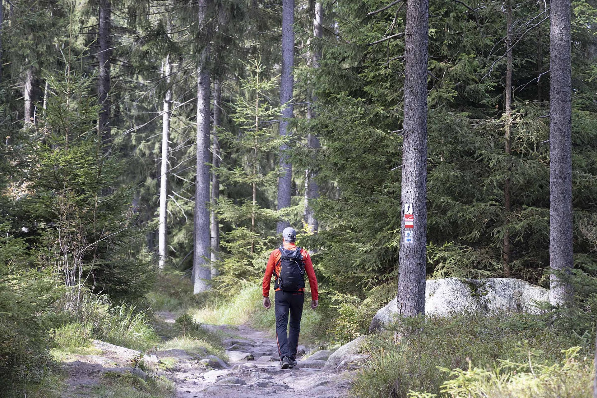 Wanderer im Naturpark Steinwald