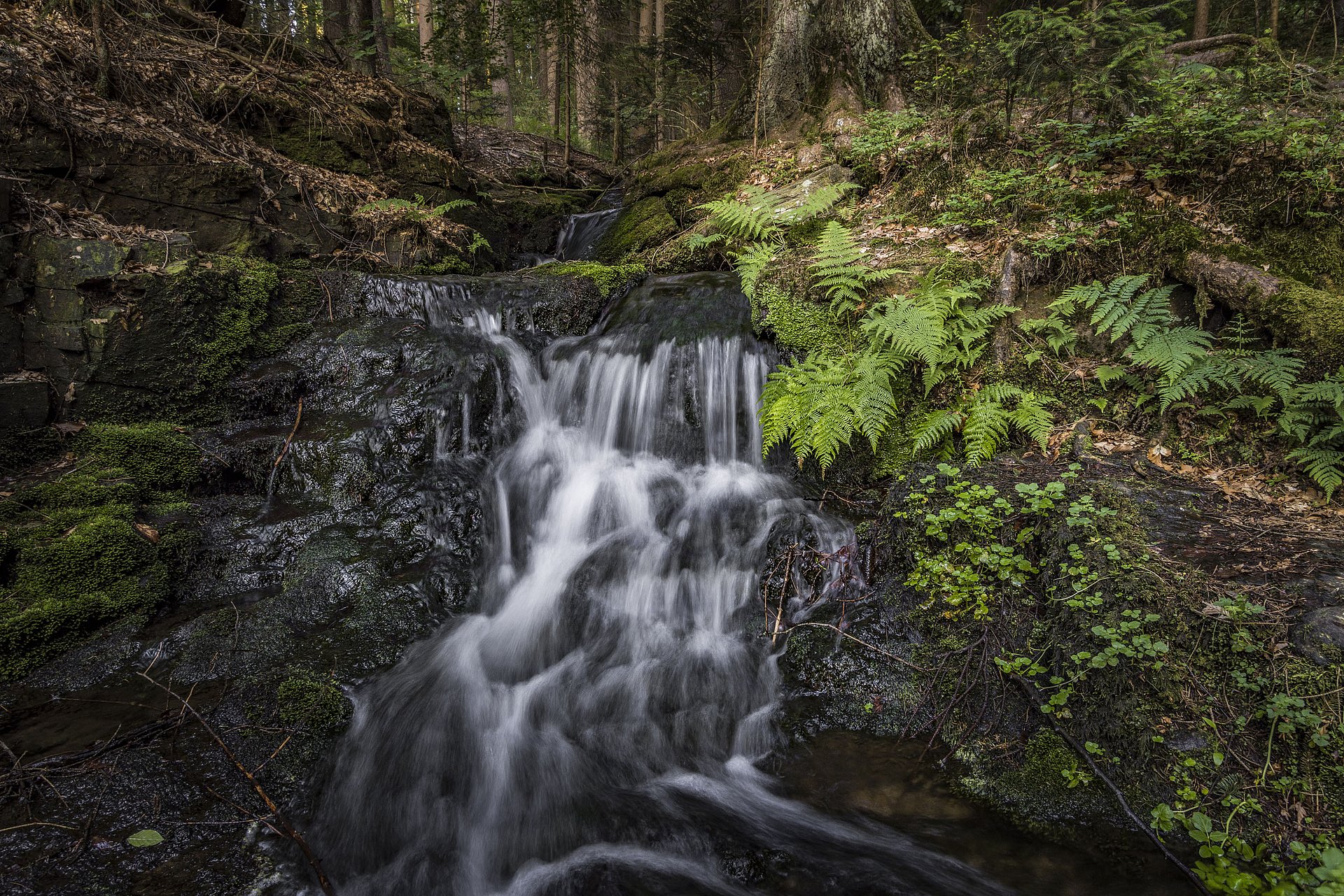 Wasserfall am Muglbach