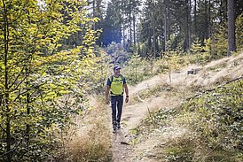 Wanderer im Steinwald