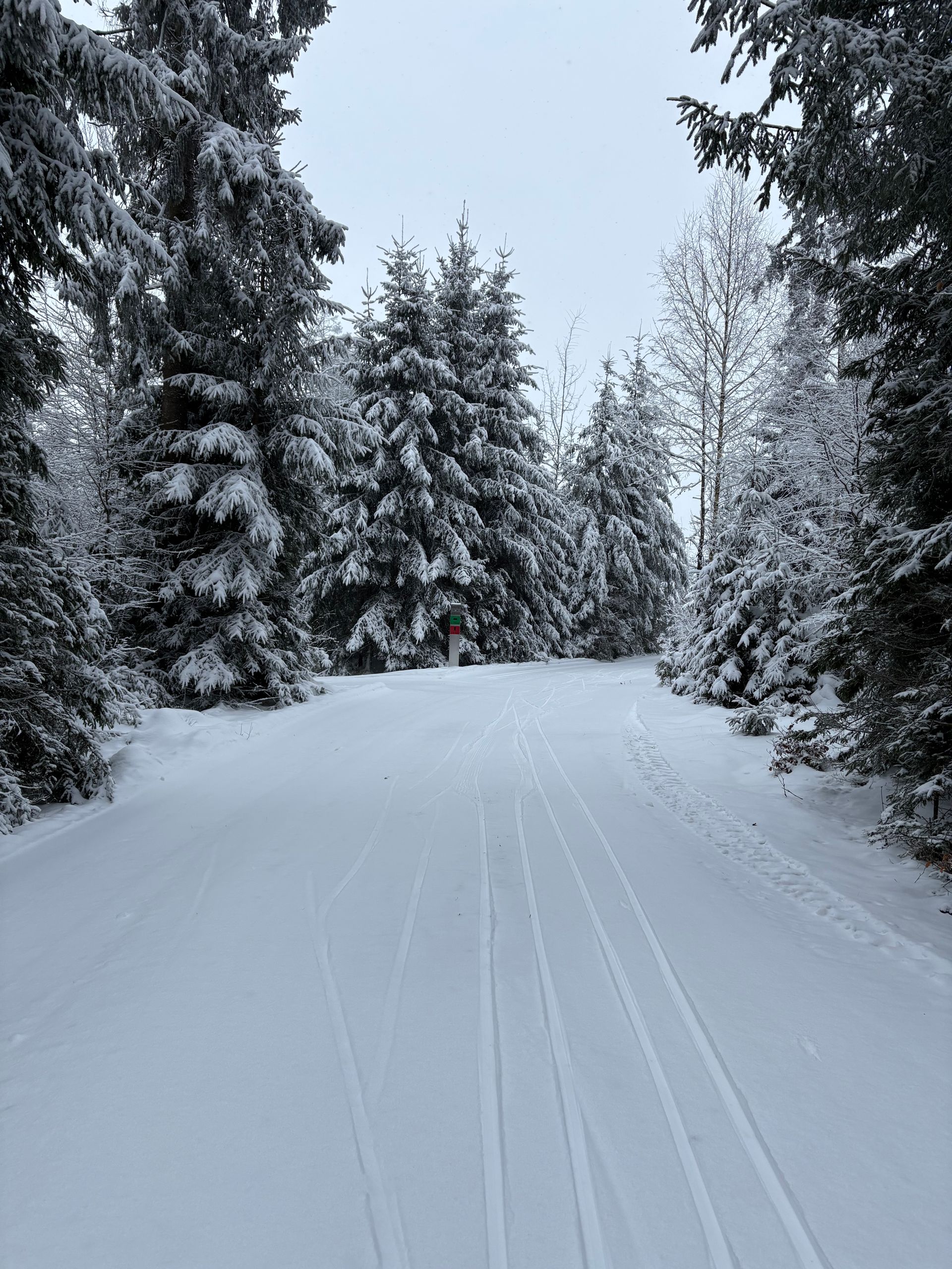 Loipe Nordic-Sport-Centrum Schwand