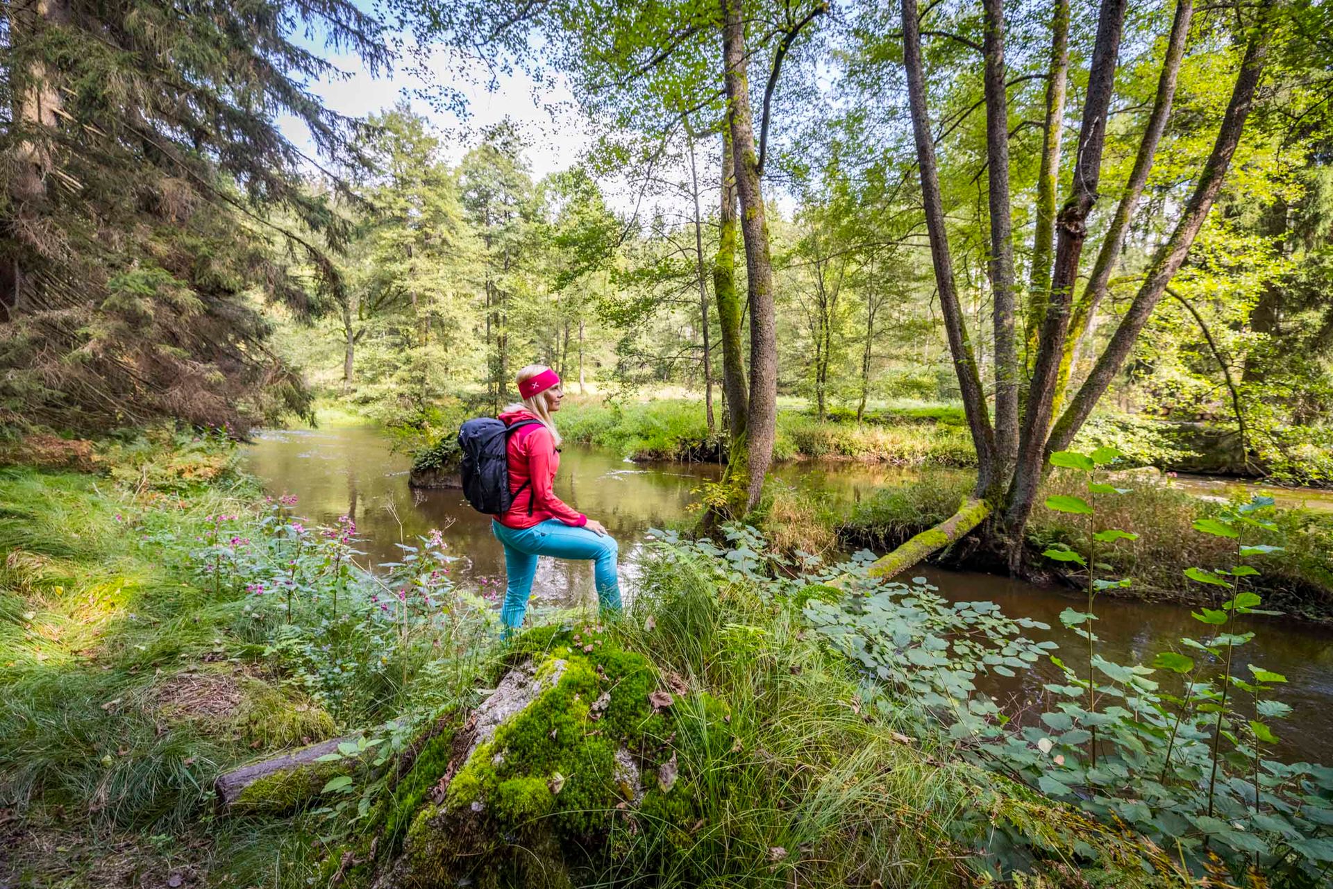 An der Waldnaab