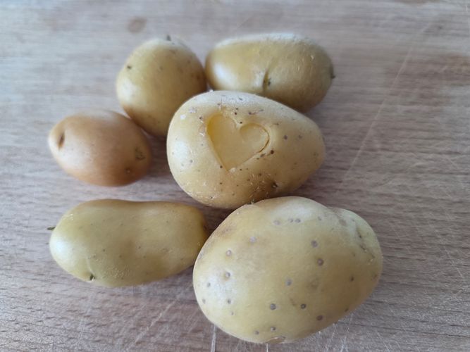 Kartoffel mit Herz