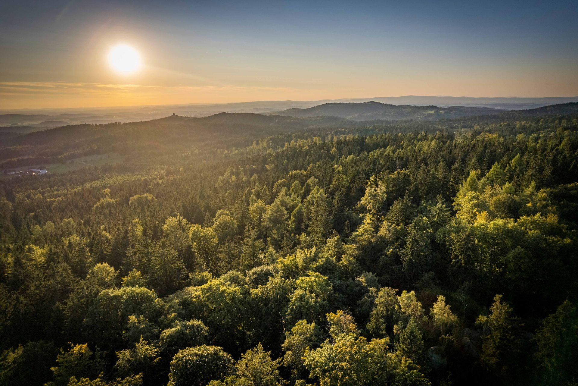 Waldmeer bei der Burgruine Schellenberg