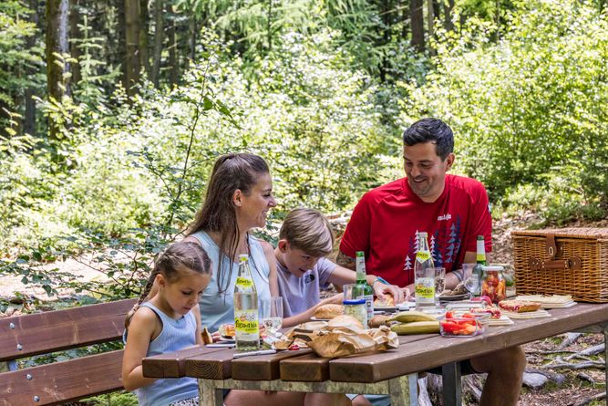 Picknick-Service im Steinwald