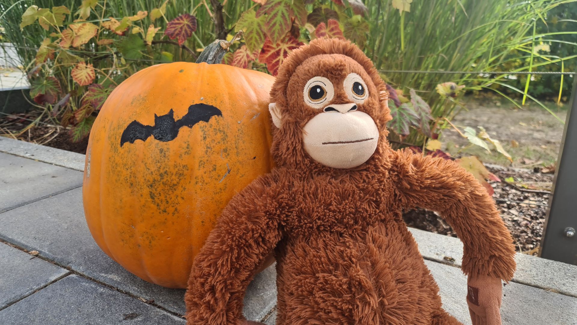Halloween-Kürbis