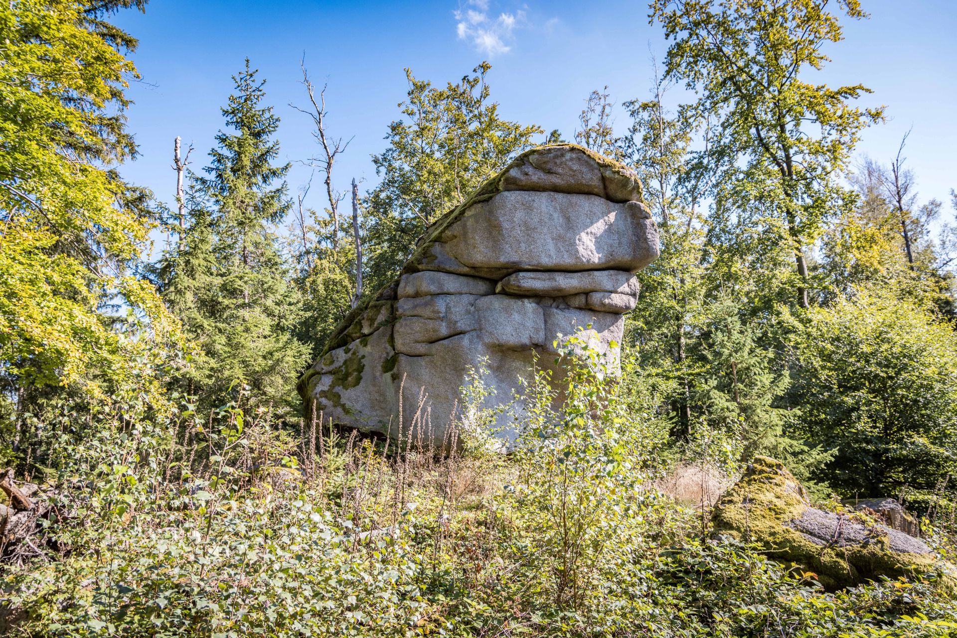 Burgruine Schellenberg