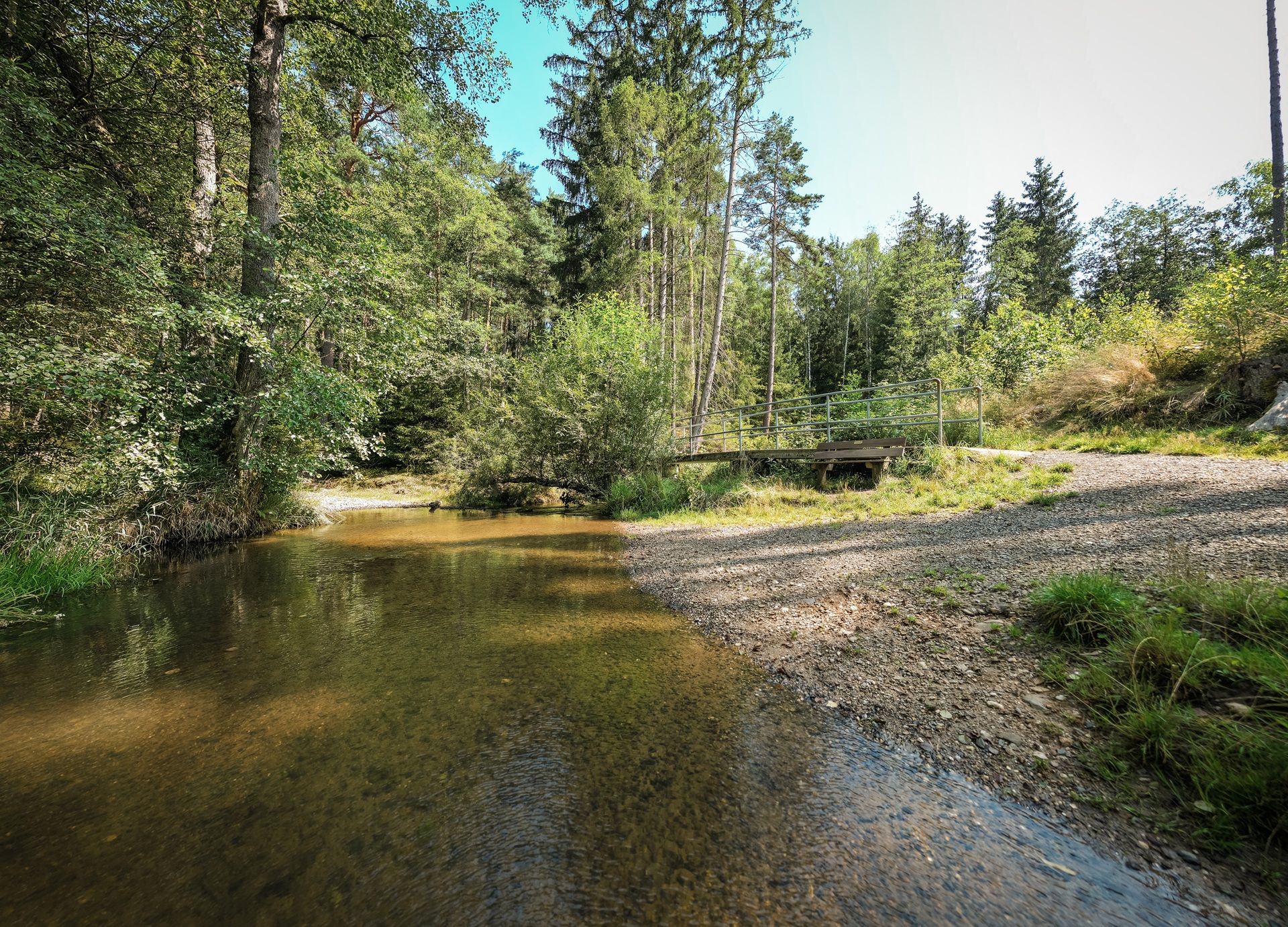 Das Bild zeigt den einen Bachlauf in Weiden. Es handelt sich um den Schwedendamm.