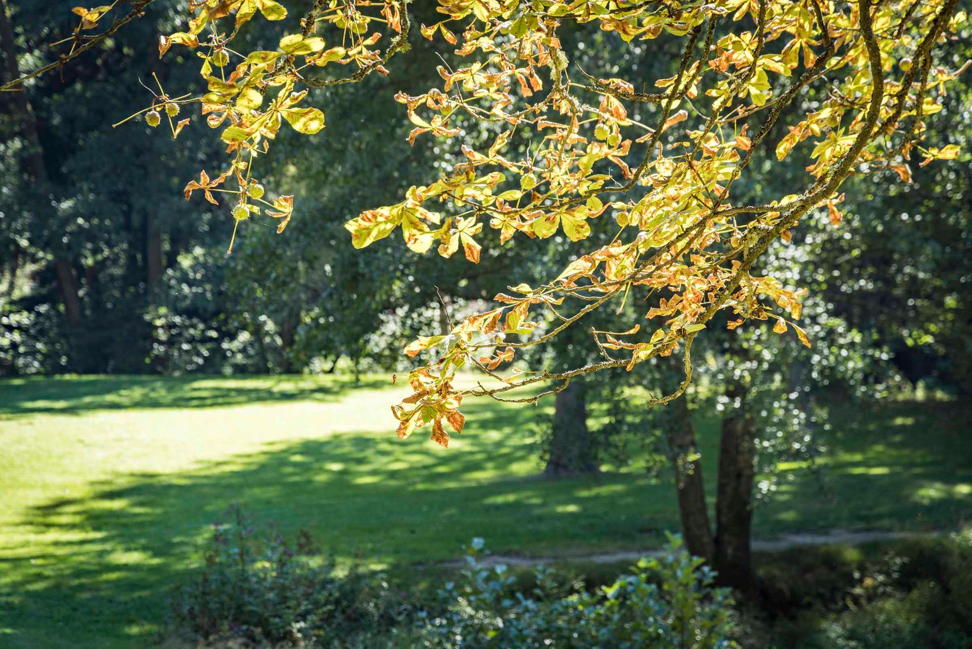 Im Oberpfälzer Wald