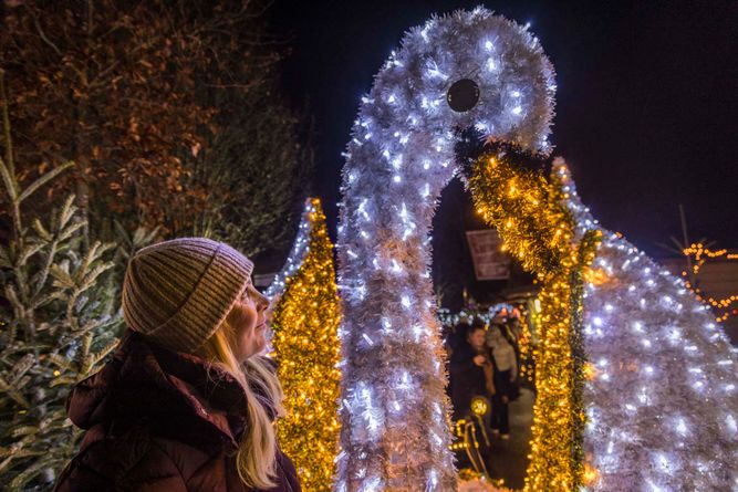 Winterzauber Schwandorf