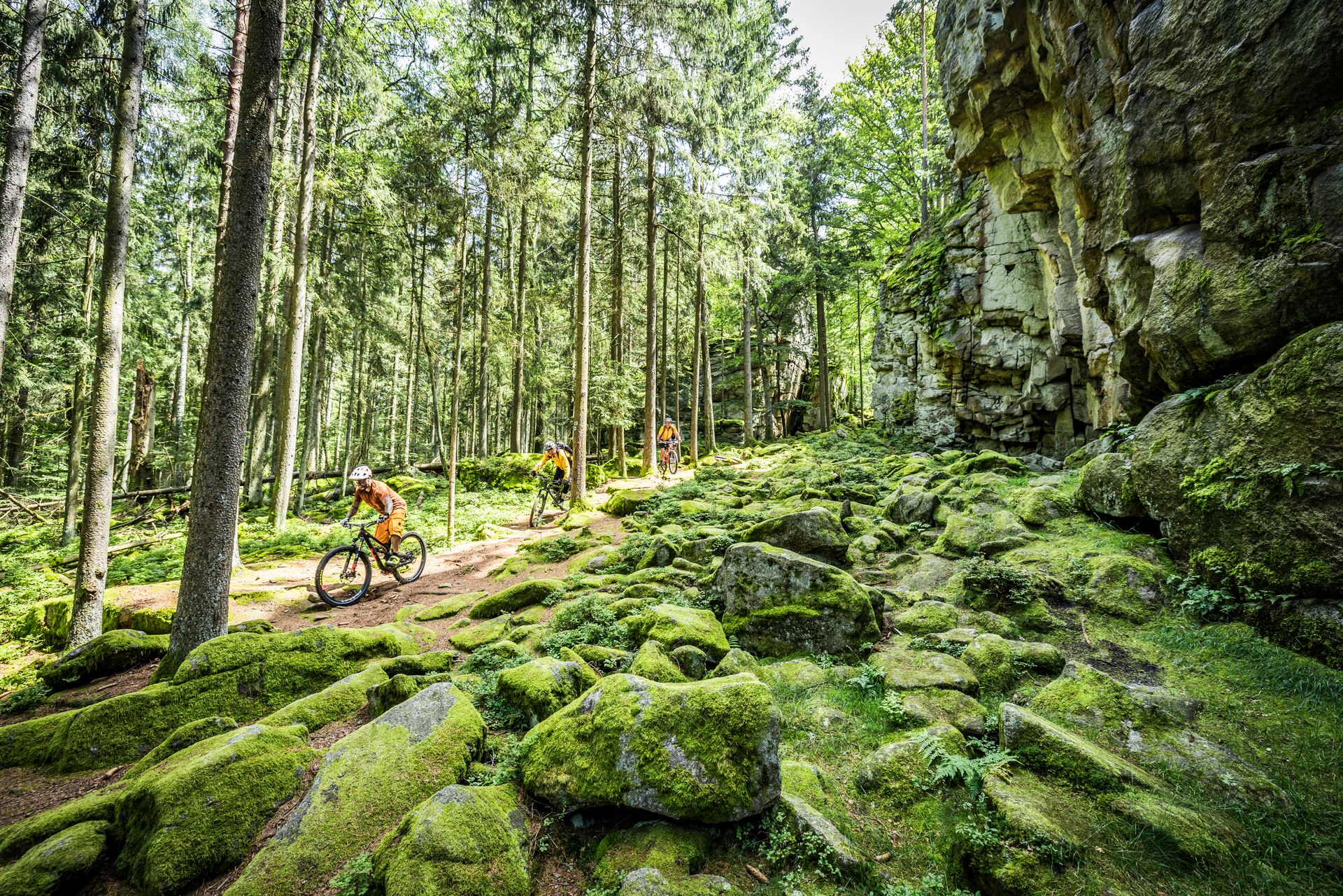 Steinwald Trail