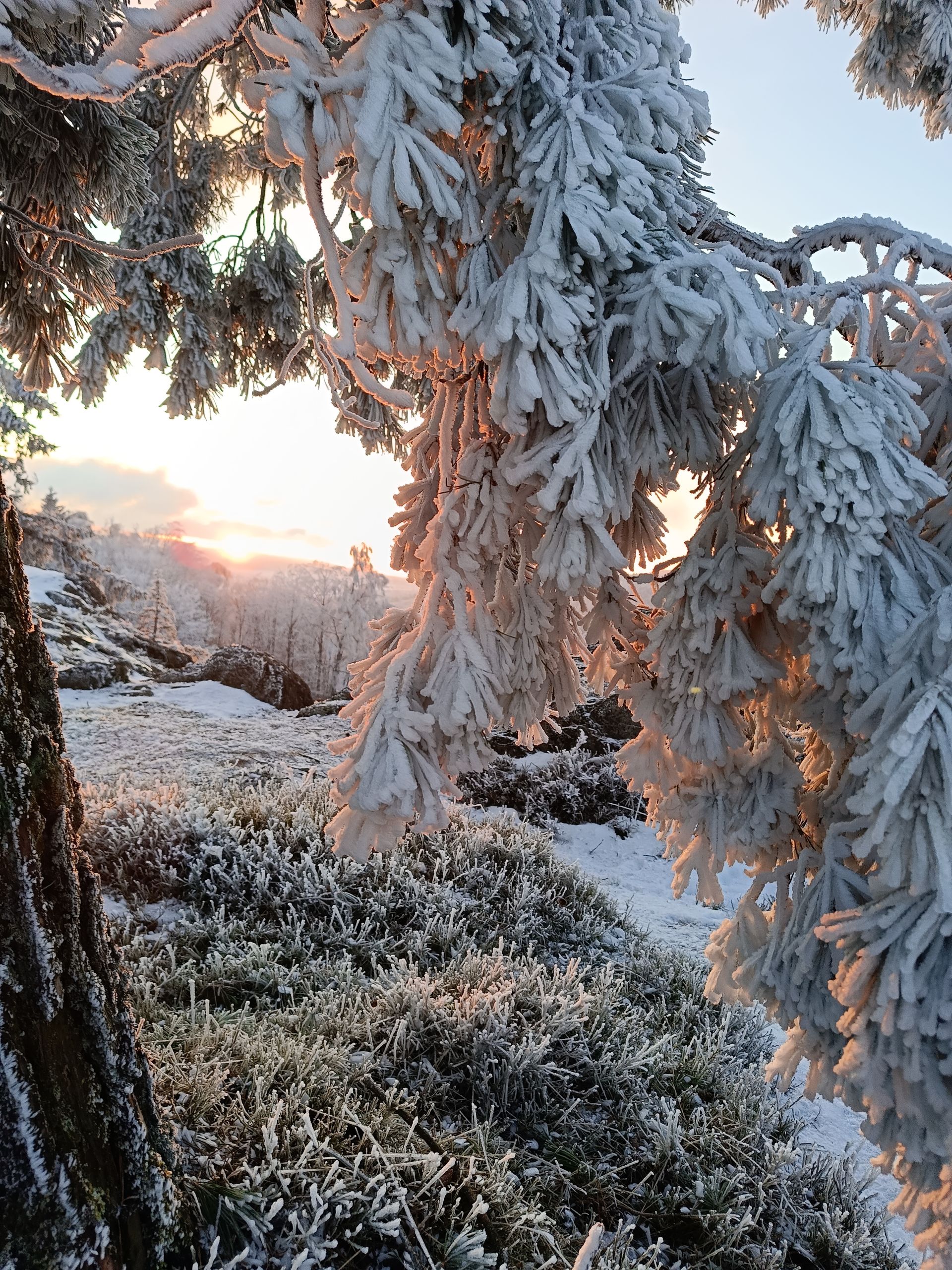 Naturdenkmal Hochfels