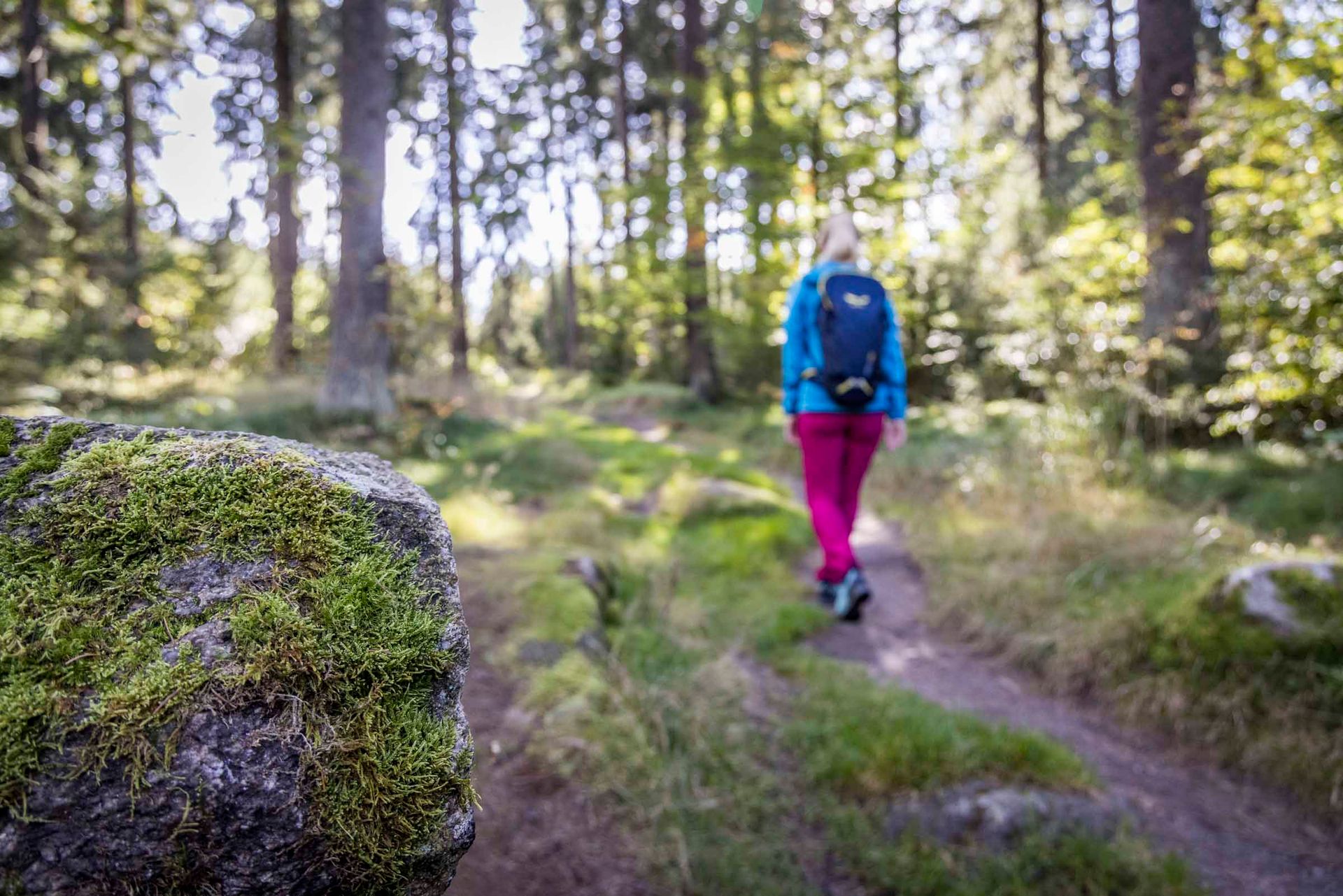 Unterwegs im Oberpfälzer Wald