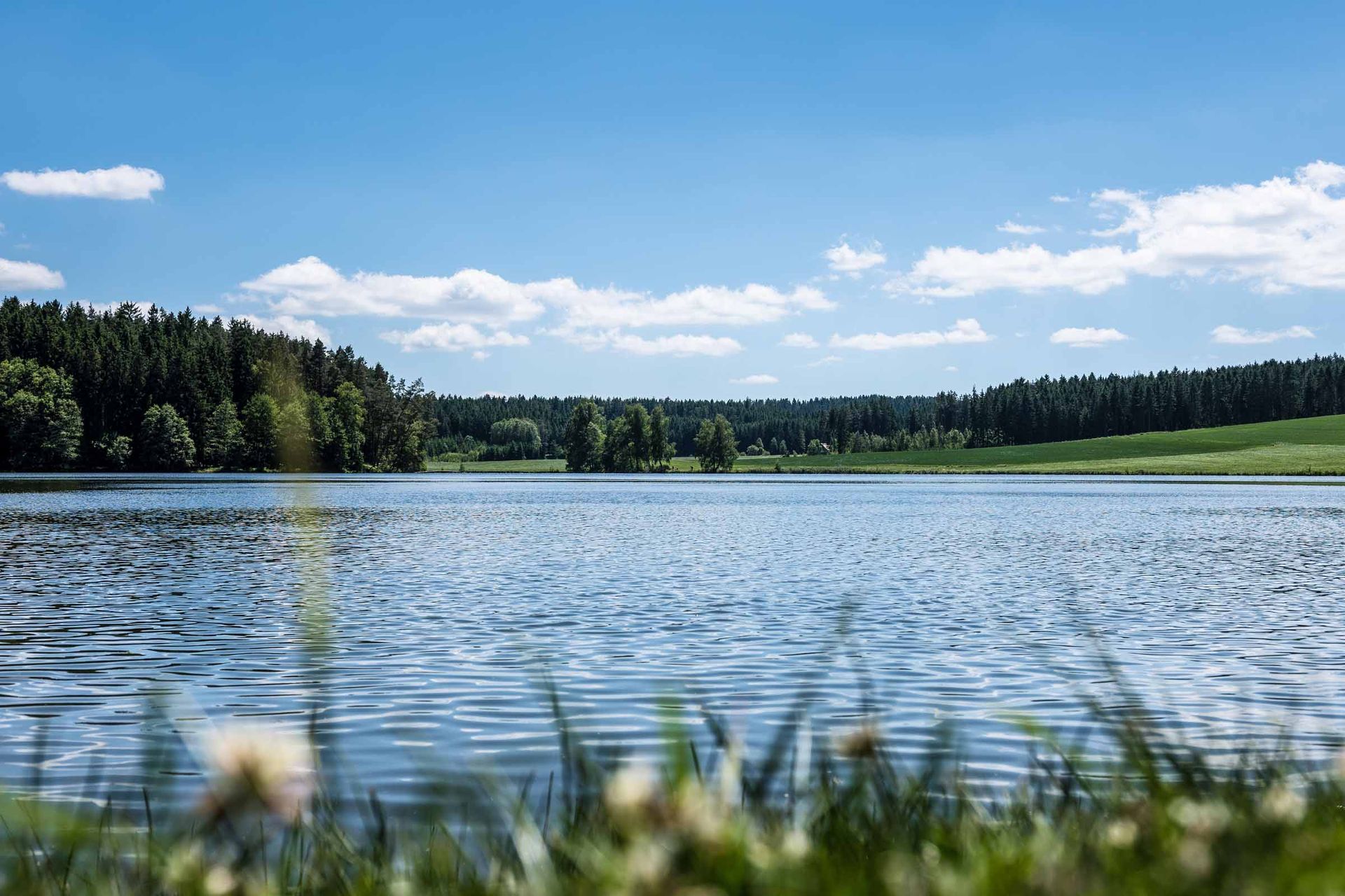 Rothenbürger Weiher bei Tirschenreuth