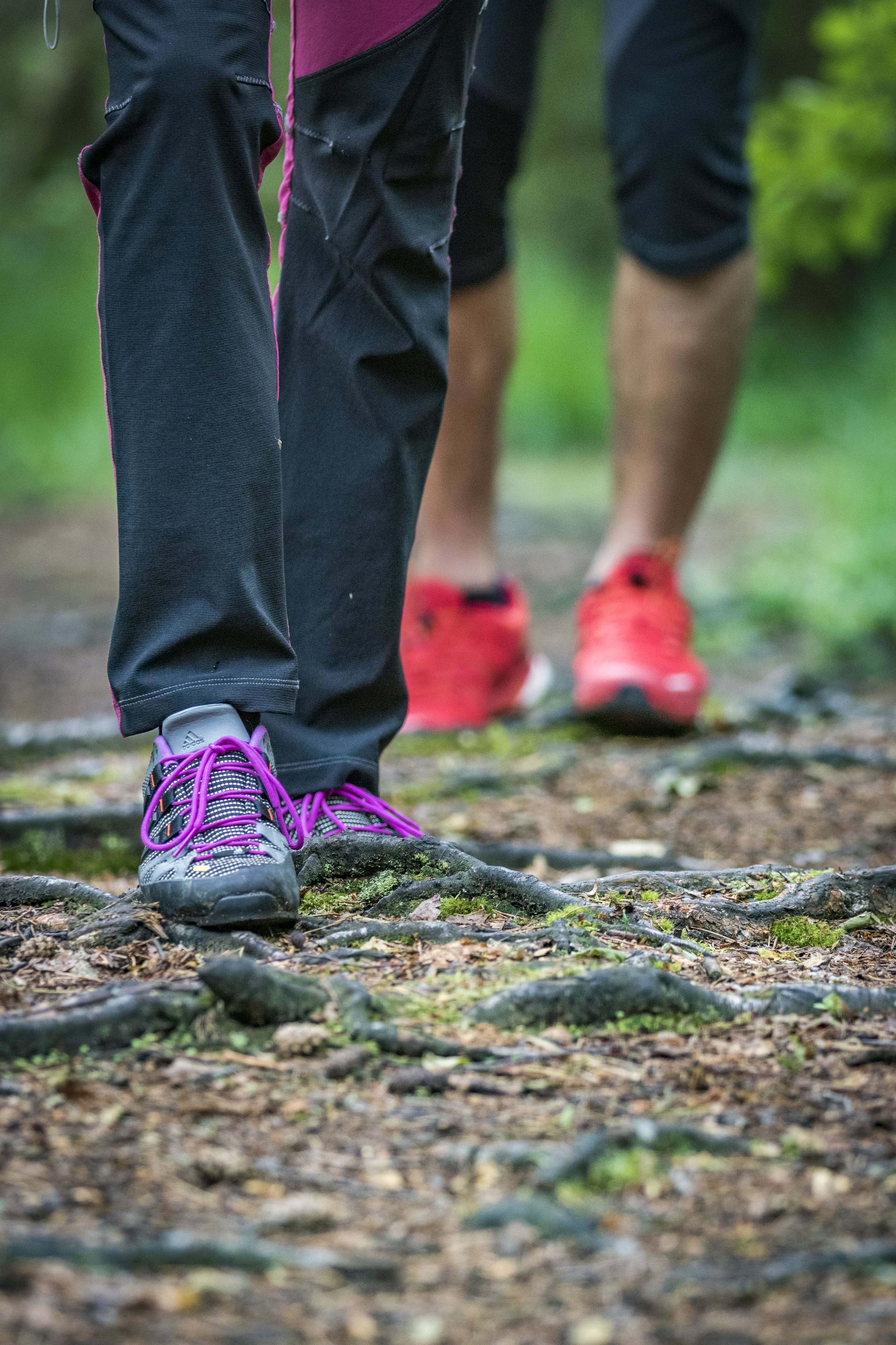 Unterwegs im Prackendorfer und Kulzer Moos
