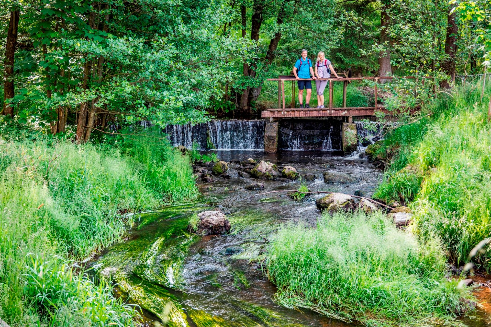 Wasserlauf bei Linglmühle