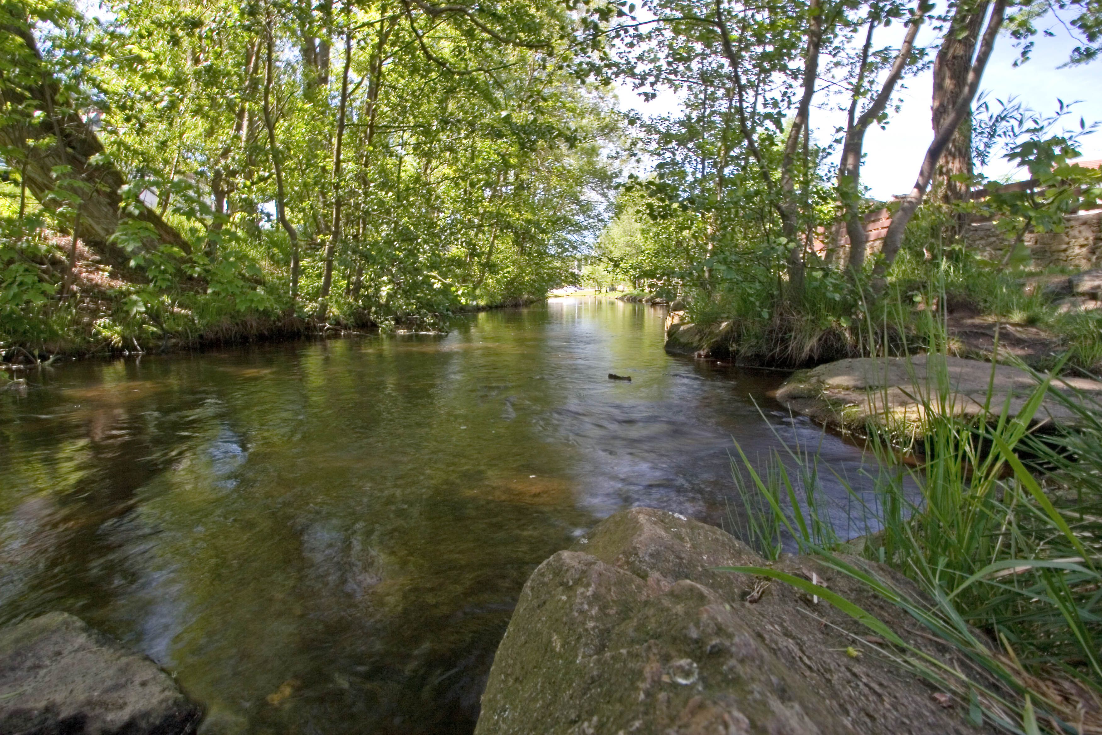 Kurparkspaziergang in Schönsee - Oberpfälzer Wald