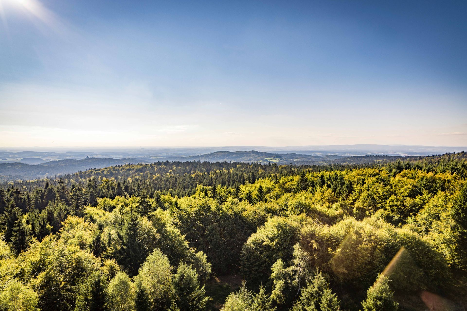 Ausblick Burgruine Schellenberg