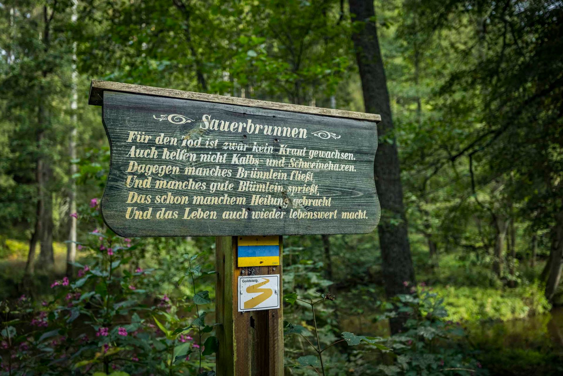 Waldnaabtal Sauerbrunnen