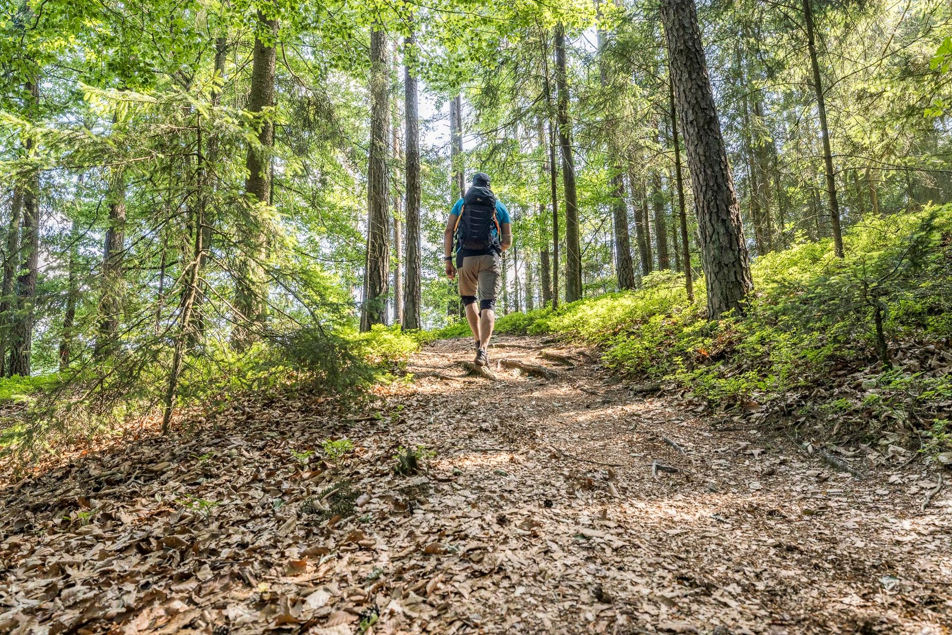 Wandern am Eixendorfer See