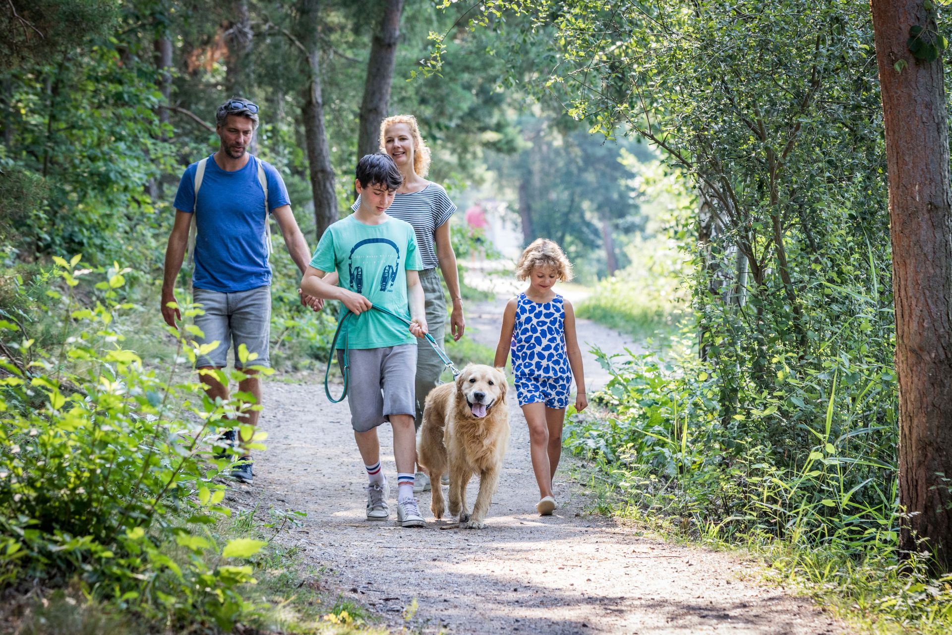 Wandern mit Hund