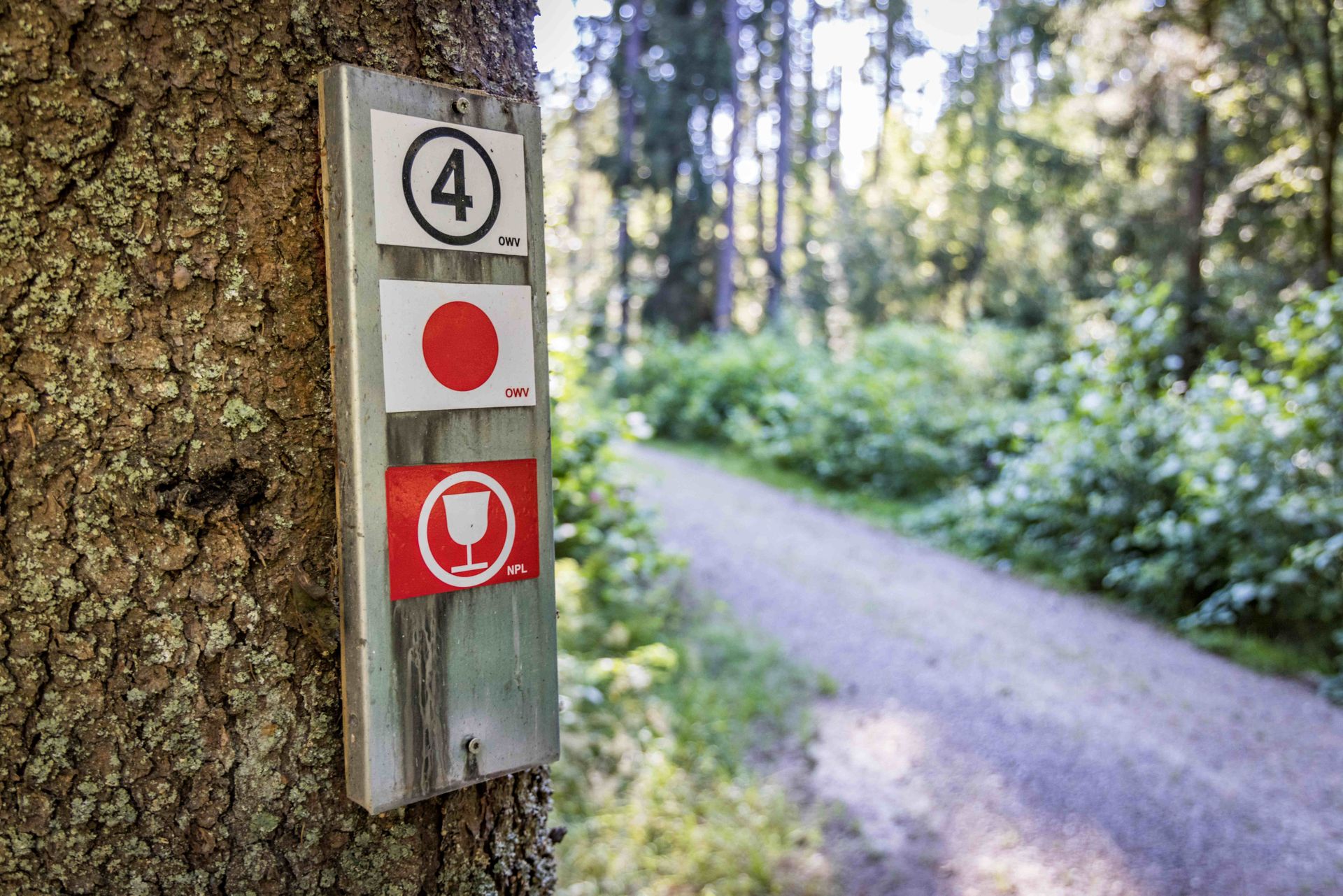 Wegweiser Wanderweg 