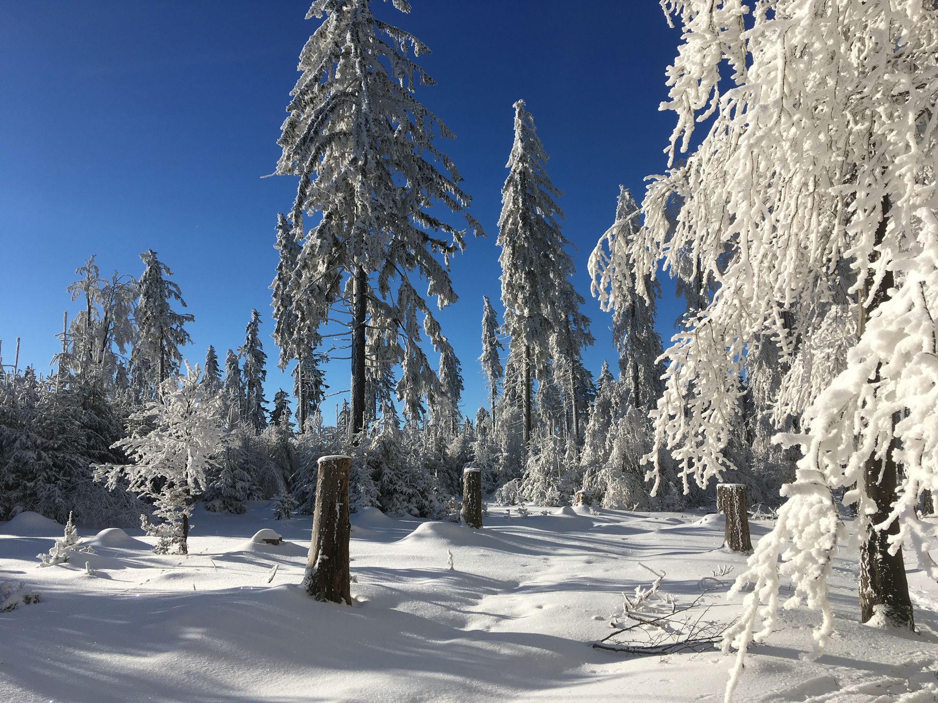 Grenz-Erlebnisrunde im Winter
