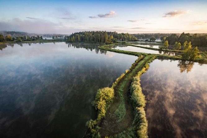 Tirschenreuther Teichpfanne