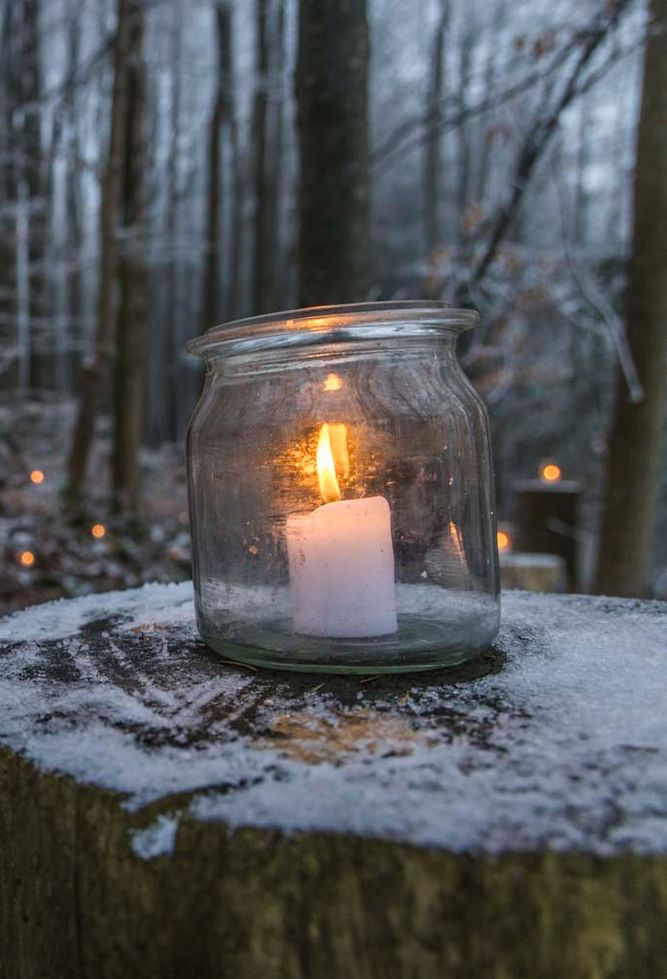 Advent im Wald