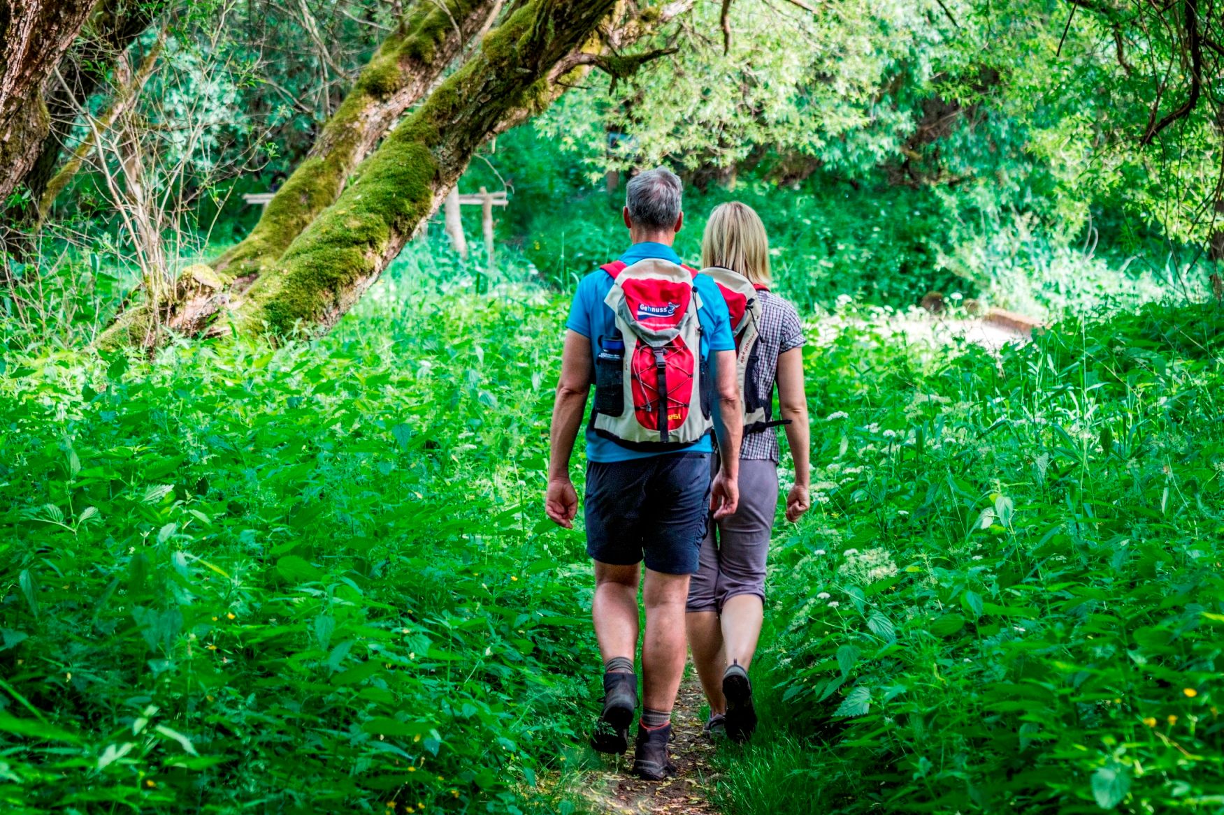 Wanderer bei Linglmühle