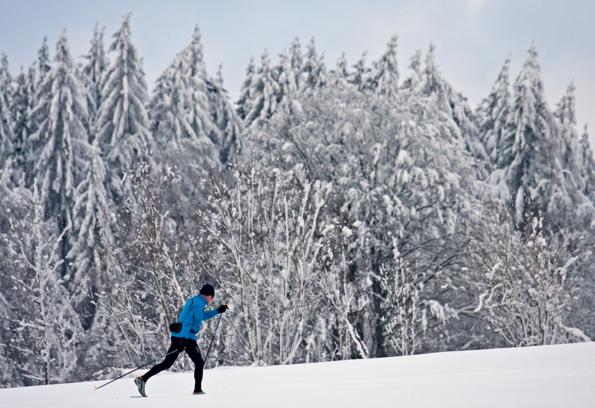 Langlauf im Schönseer Land