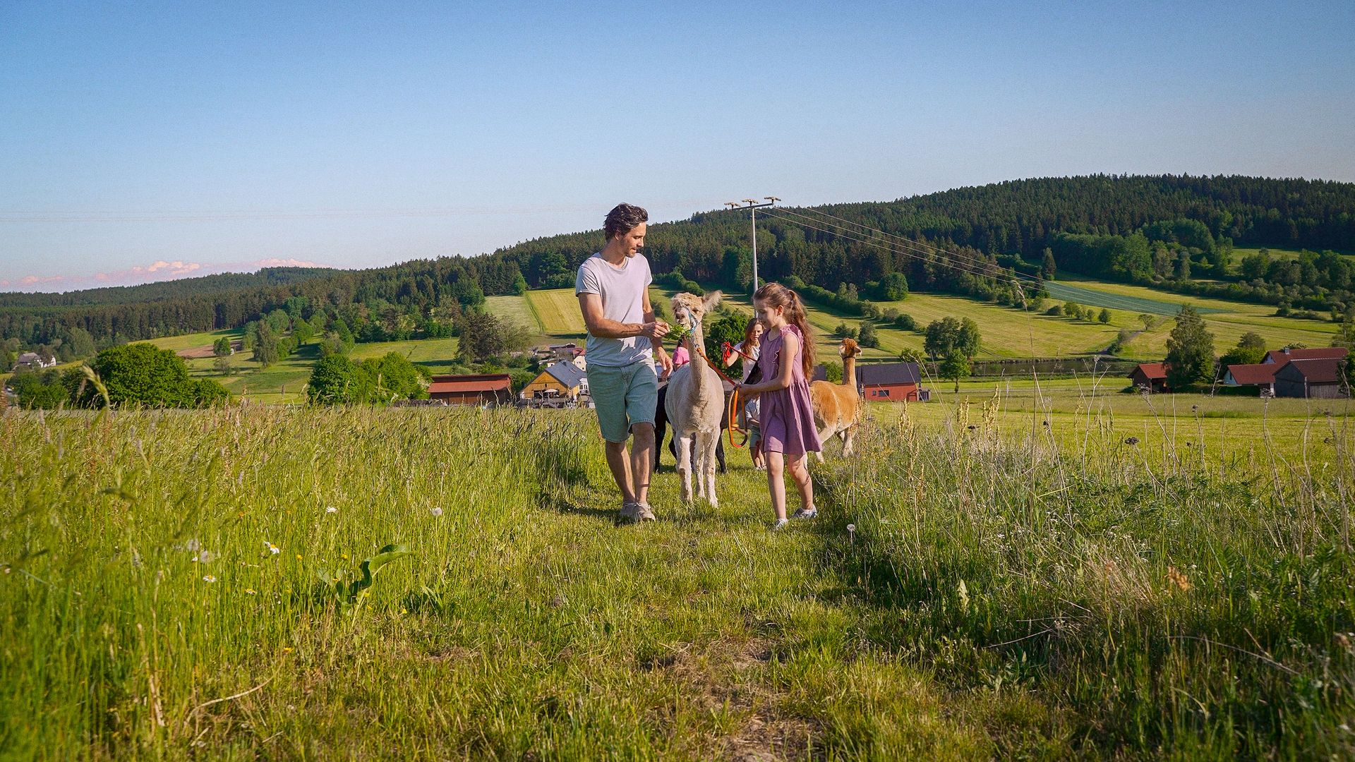 Alpakawanderung im Schönseer Land
