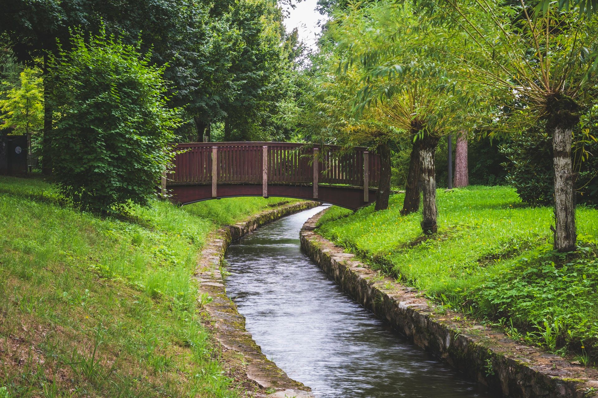 Das Bild zeigt die Kopfweiden und den Stadtmühlbach im Weidener Max-Reger-Park.