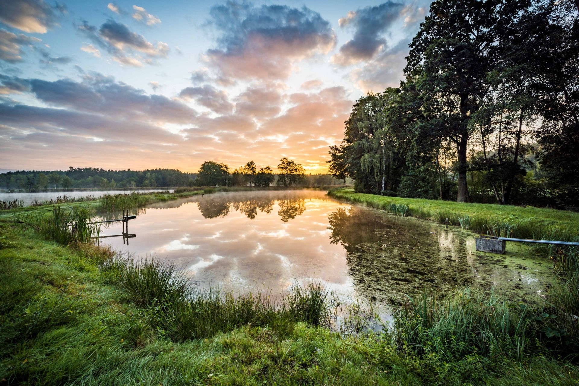 Charlottenhofer Weihergebiet